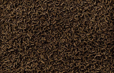 Tetra FaunaFauna reptomin sticks 1 l - Nena's Pets 