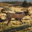 Ruffwear Timberline Fuse Fleece vest