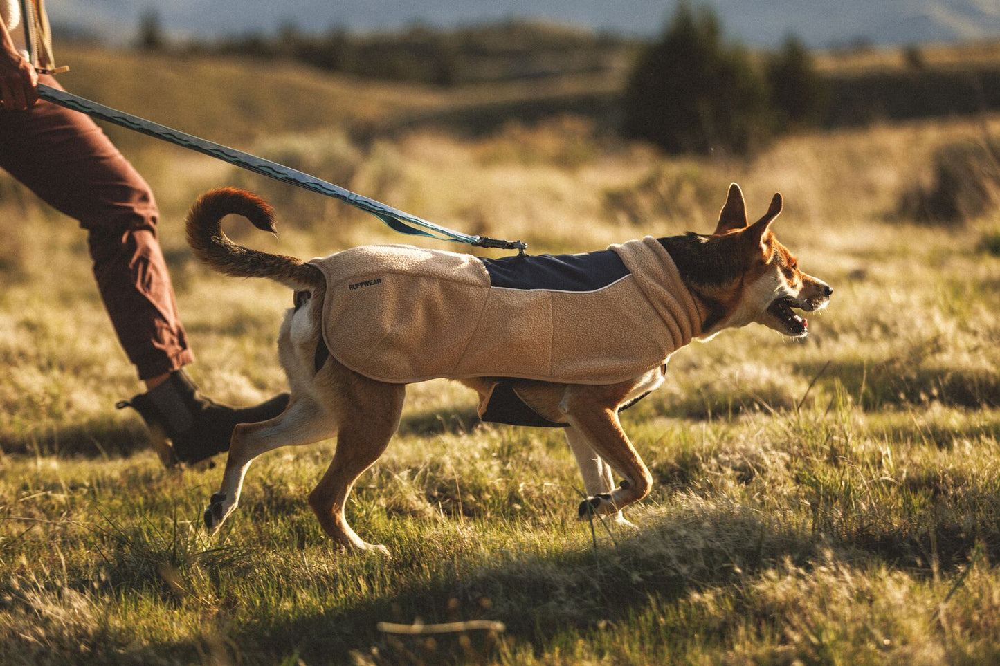 Ruffwear Timberline Fuse Fleece vest