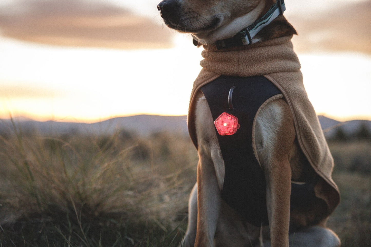 Ruffwear Timberline Fuse Fleece vest