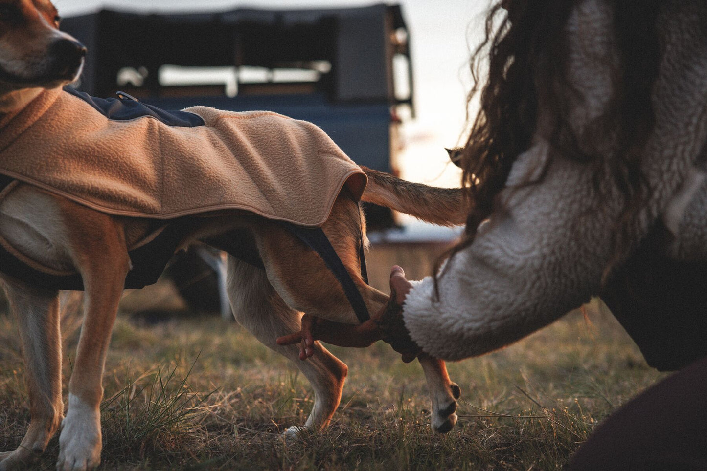 Ruffwear Timberline Fuse Fleece vest