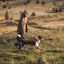 Ruffwear Overcoat Fuse Insulated Vest
