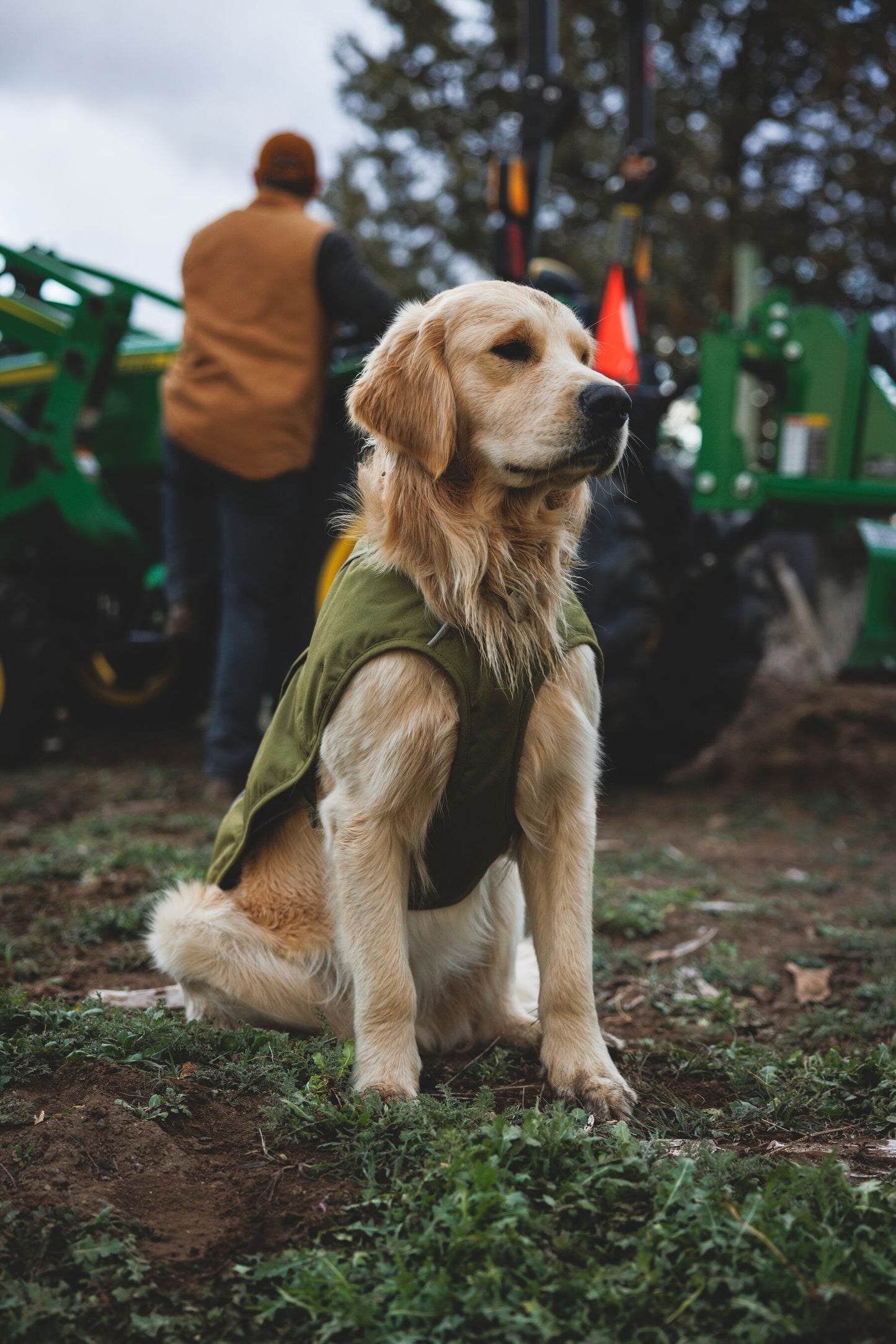 Ruffwear Overcoat Fuse Insulated Vest