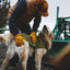 Ruffwear Overcoat Fuse Insulated Vest