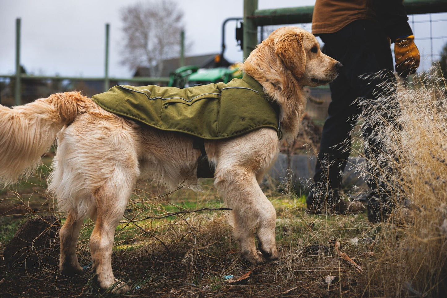 Ruffwear Overcoat Fuse Insulated Vest