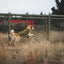 Ruffwear Overcoat Fuse Insulated Vest