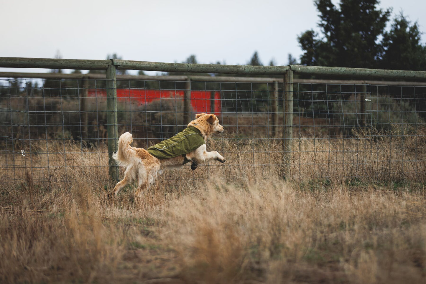 Ruffwear Overcoat Fuse Insulated Vest