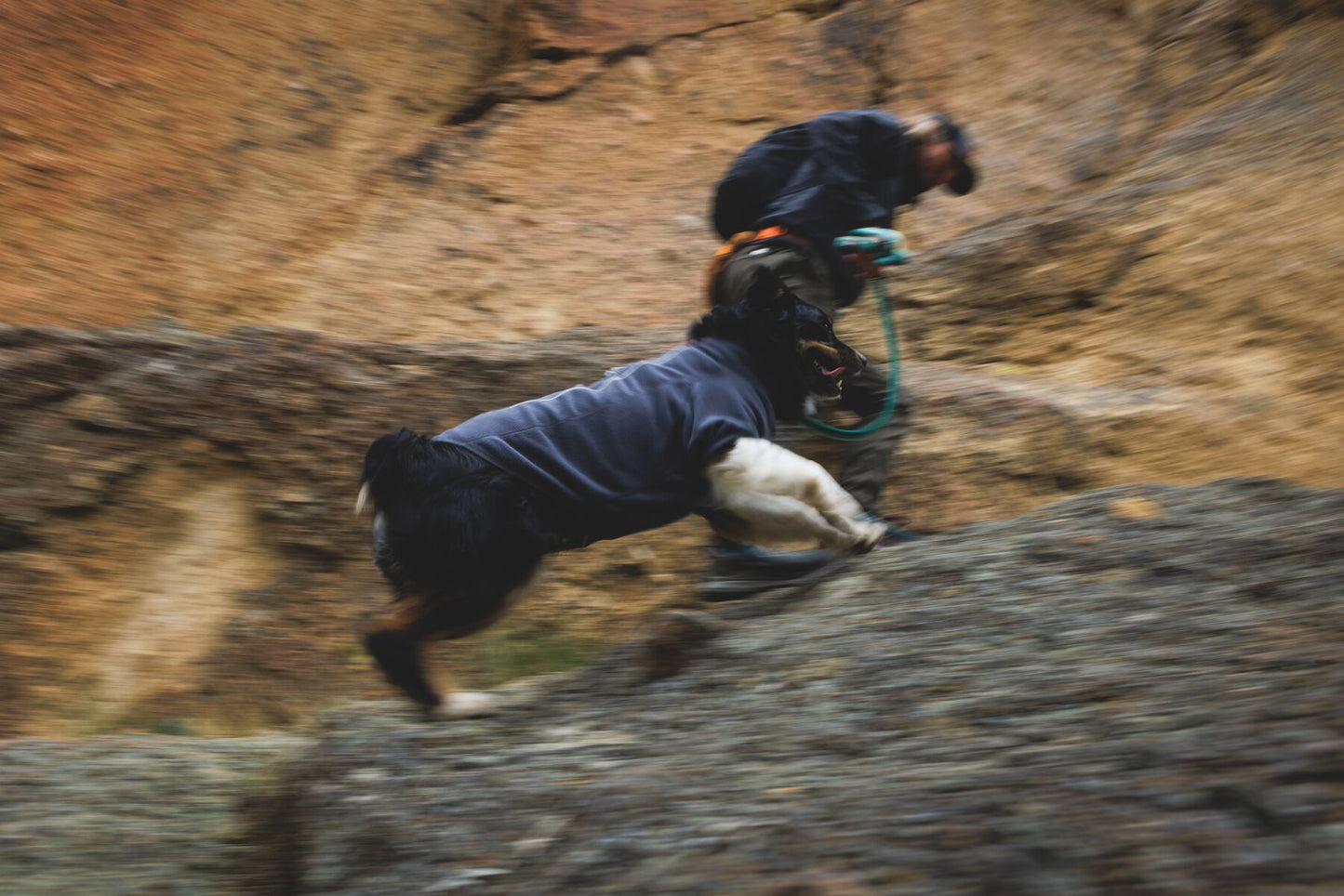 Ruffwear Climate Changer Fleece jacket