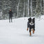 Ruffwear Powder Hound Waterproof insulated Coverall