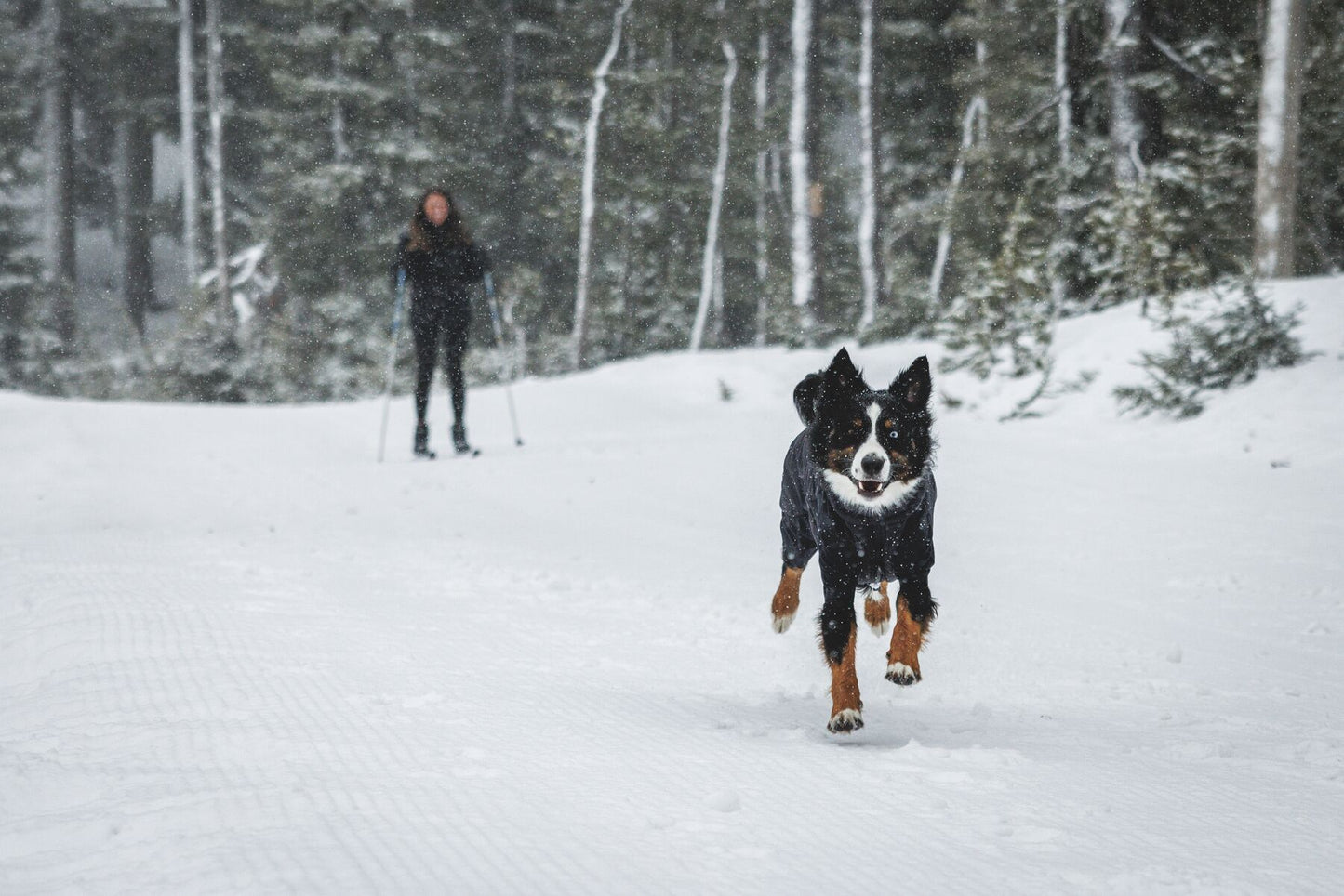 Ruffwear Powder Hound Waterproof insulated Coverall