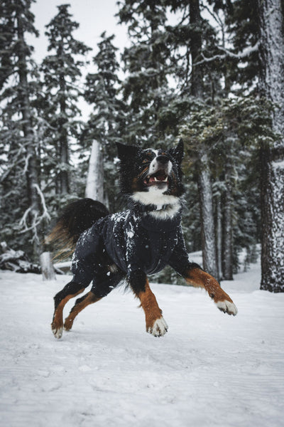 Ruffwear Powder Hound Waterproof insulated Coverall