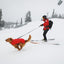 Ruffwear Powder Hound Waterproof Insulated Vest