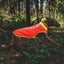Ruffwear Lumenglow High-Vis Vest