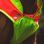 Ruffwear Lumenglow High-Vis Vest