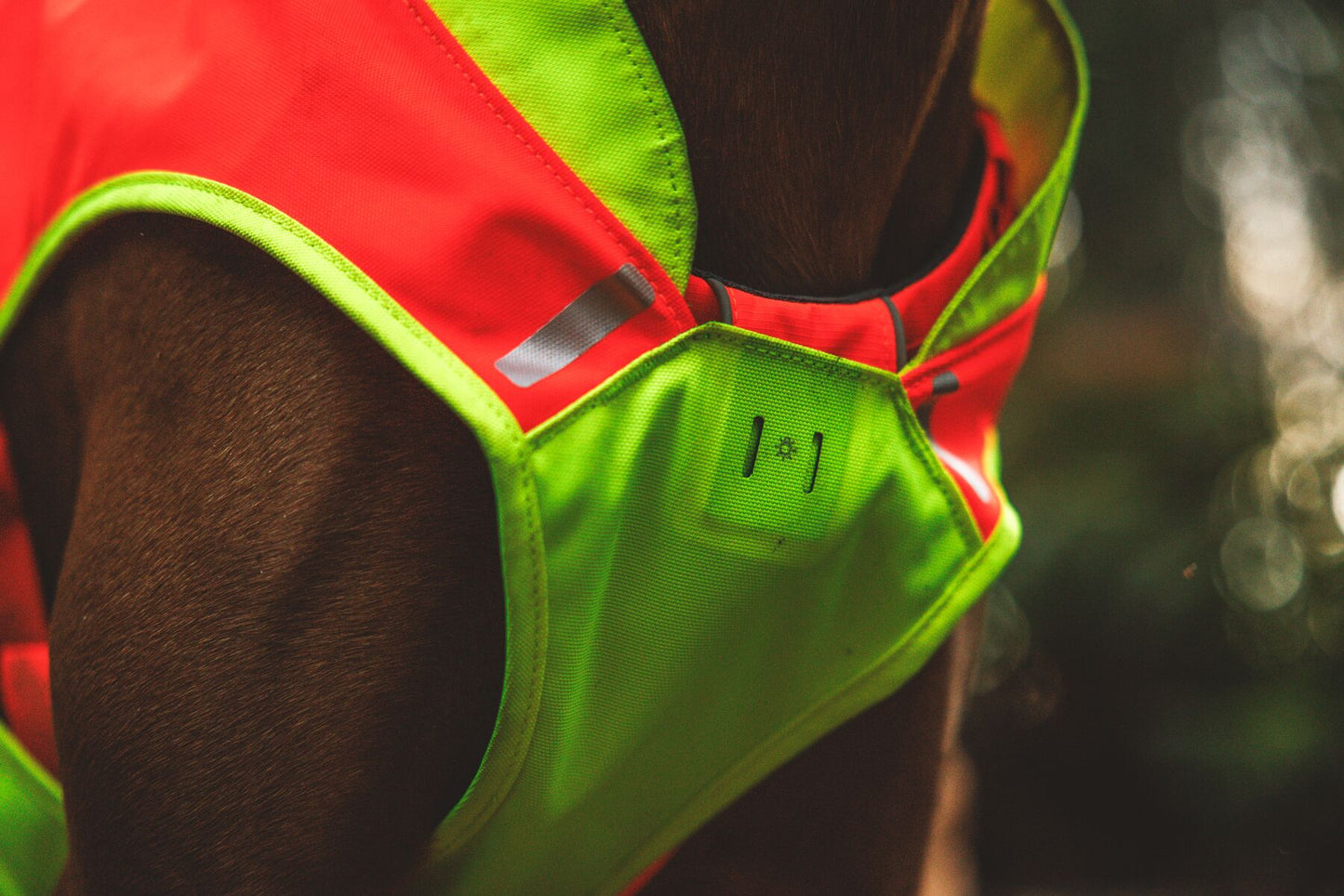 Ruffwear Lumenglow High-Vis Vest