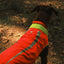 Ruffwear Lumenglow High-Vis Vest