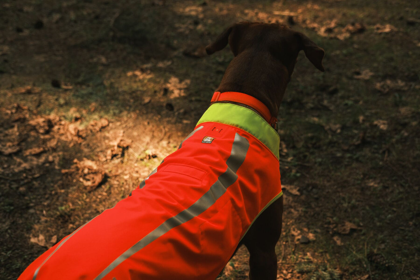 Ruffwear Lumenglow High-Vis Vest