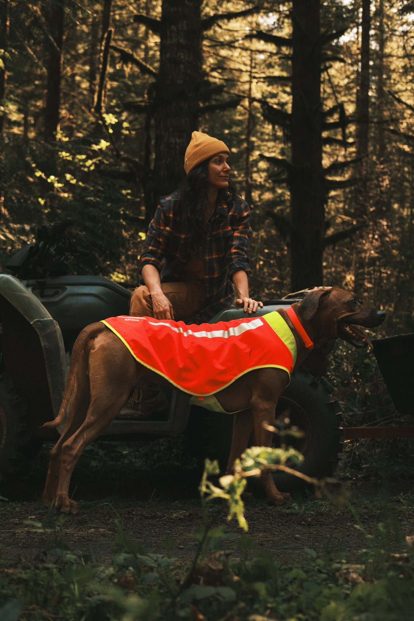 Ruffwear Lumenglow High-Vis Vest