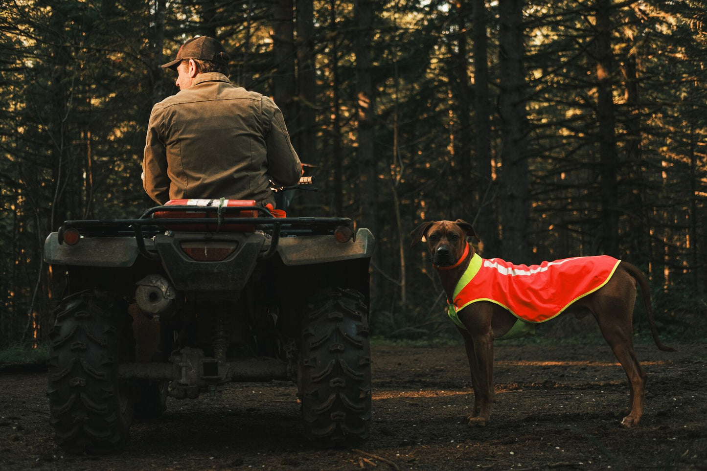 Ruffwear Lumenglow High-Vis Vest