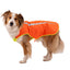 Ruffwear Lumenglow High-Vis Vest