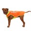 Ruffwear Lumenglow High-Vis Vest
