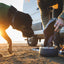 Ruffwear Kibble Kaddie™ Dog Food Carrier '25
