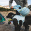 Ruffwear Palisades™ Pack rugzak