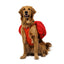 Ruffwear Palisades™ Pack rugzak