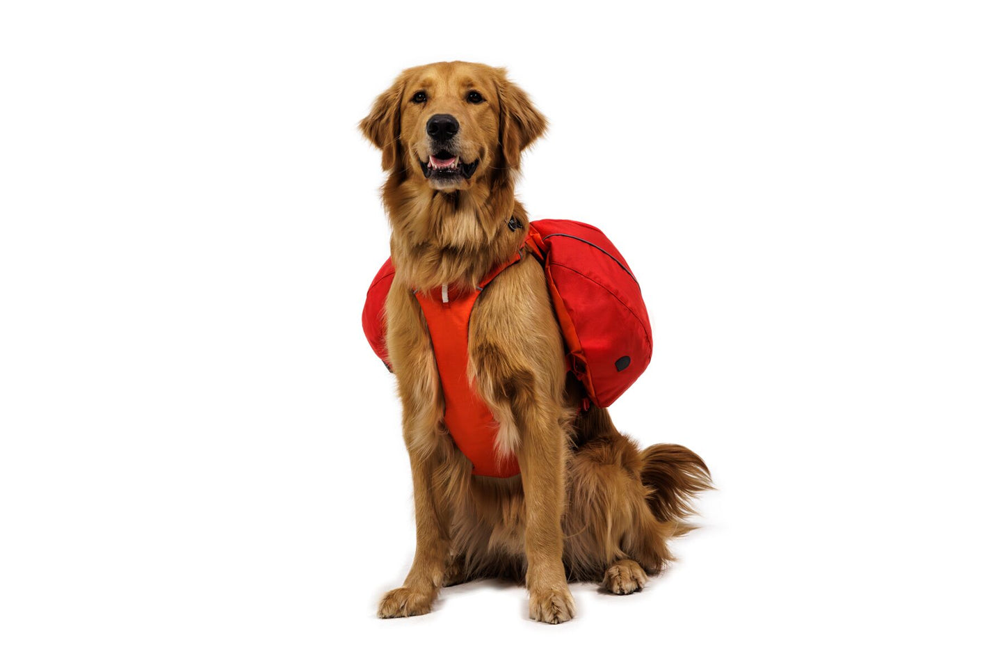 Ruffwear Palisades™ Pack rugzak