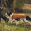 Ruffwear Overcoat Fuse Insulated Vest