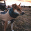 Ruffwear Mt. Hoodie™ Warming Neck Gaiter