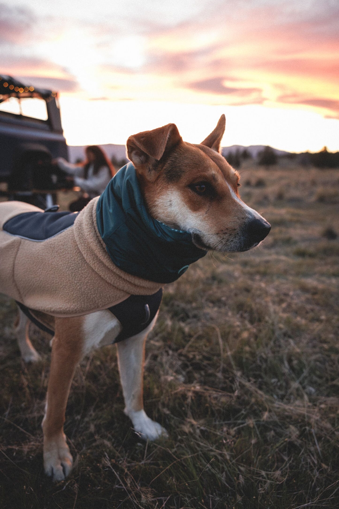 Ruffwear Mt. Hoodie™ Warming Neck Gaiter