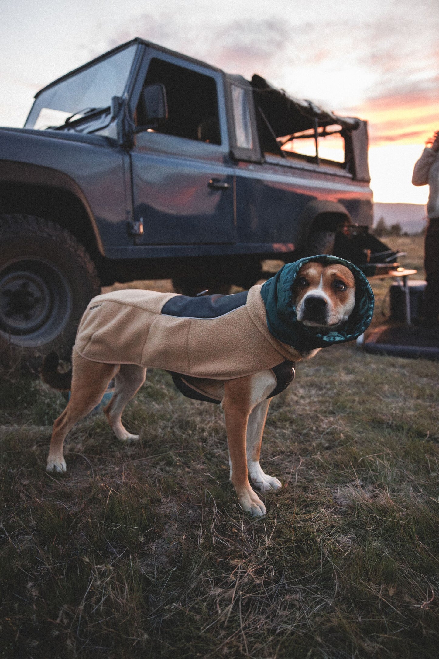 Ruffwear Mt. Hoodie™ Warming Neck Gaiter