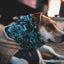 Ruffwear Mt. Hoodie™ Warming Neck Gaiter