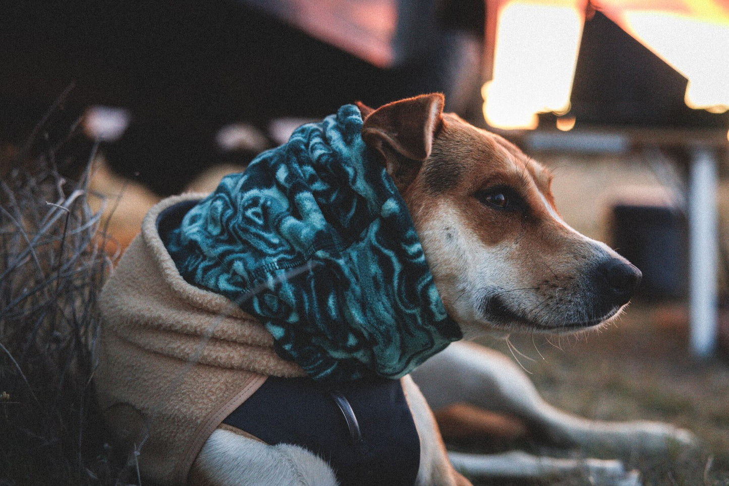 Ruffwear Mt. Hoodie™ Warming Neck Gaiter