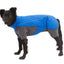 Ruffwear Vert Coverall Blue Pool - Nena's Pets 