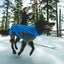 Ruffwear Vert Coverall Blue Pool - Nena's Pets 
