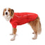 Ruffwear Powder Hound Waterproof Insulated Jacket