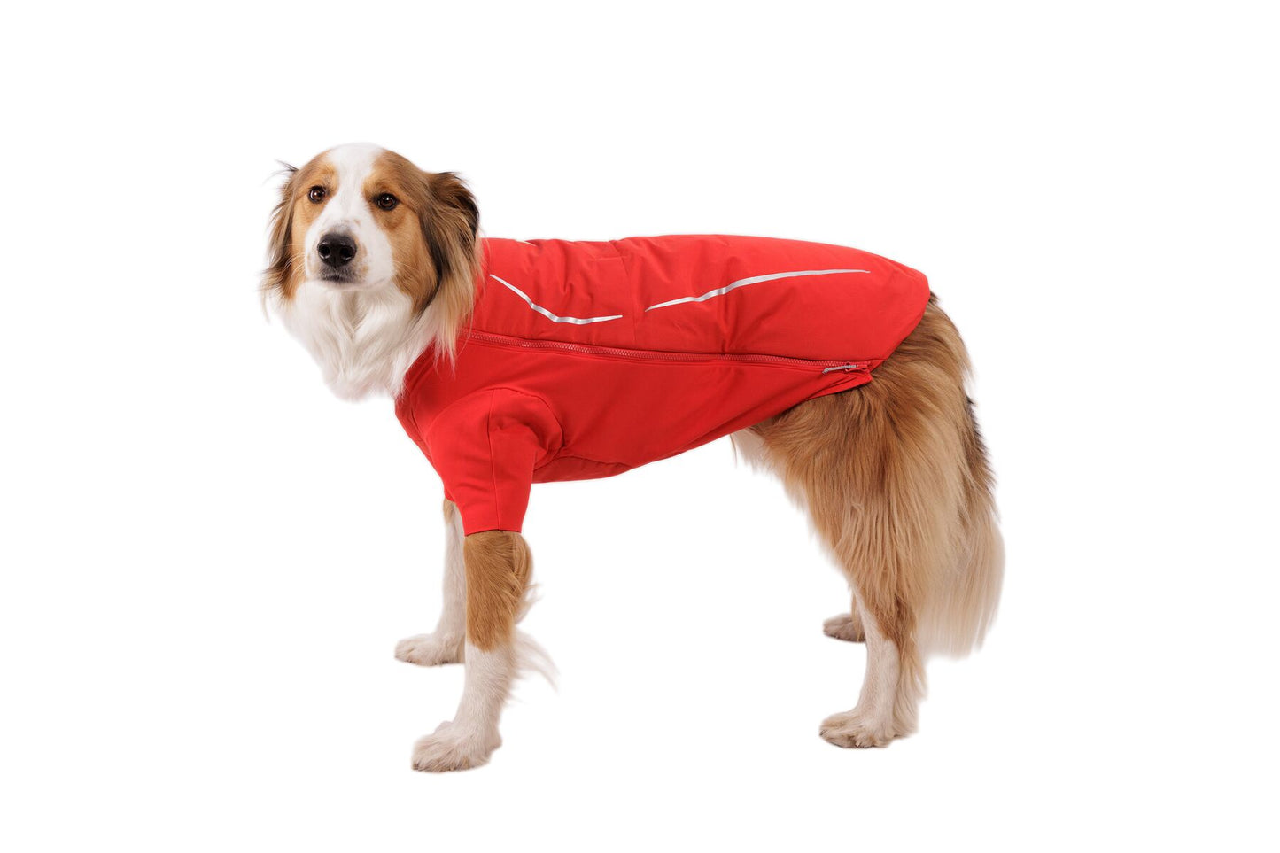 Ruffwear Powder Hound Waterproof Insulated Jacket