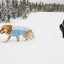 Ruffwear Powder Hound Waterproof Insulated Jacket