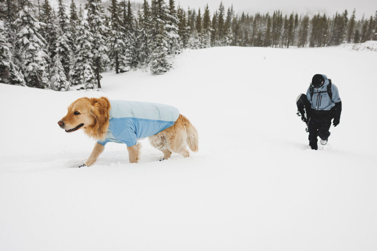Ruffwear Powder Hound Waterproof Insulated Jacket