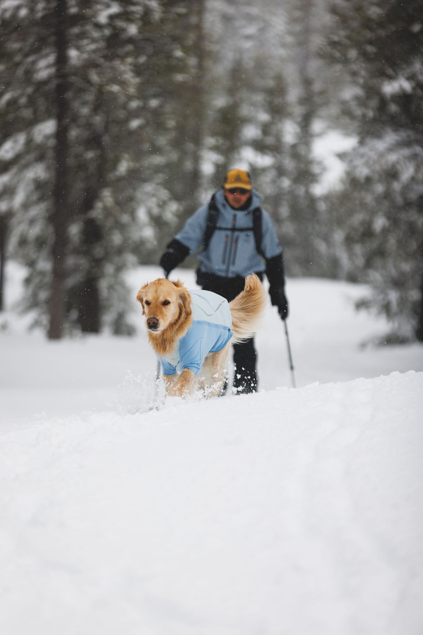 Ruffwear Powder Hound Waterproof Insulated Jacket