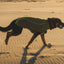 Ruffwear Climate Changer Fleece Vest