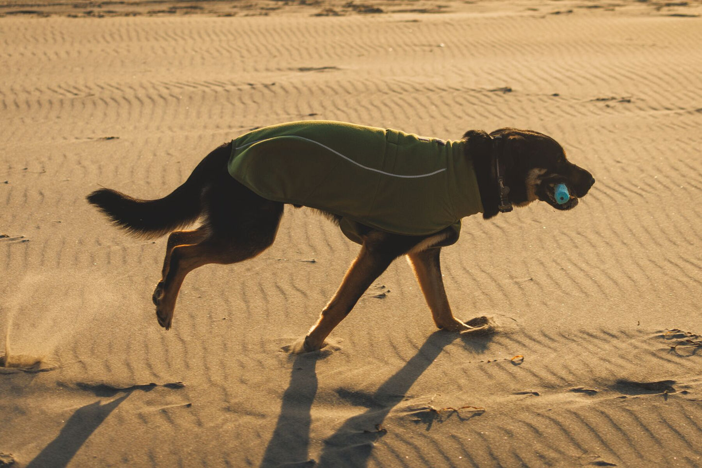 Ruffwear Climate Changer Fleece Vest