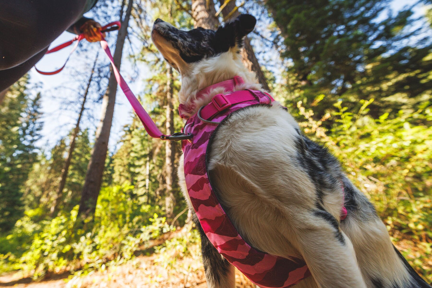 Ruffwear Front Range Harnas