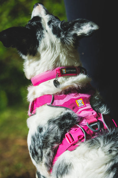 Ruffwear Front Range Harnas