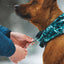 Ruffwear Mt. Hoodie™ Warming Neck Gaiter