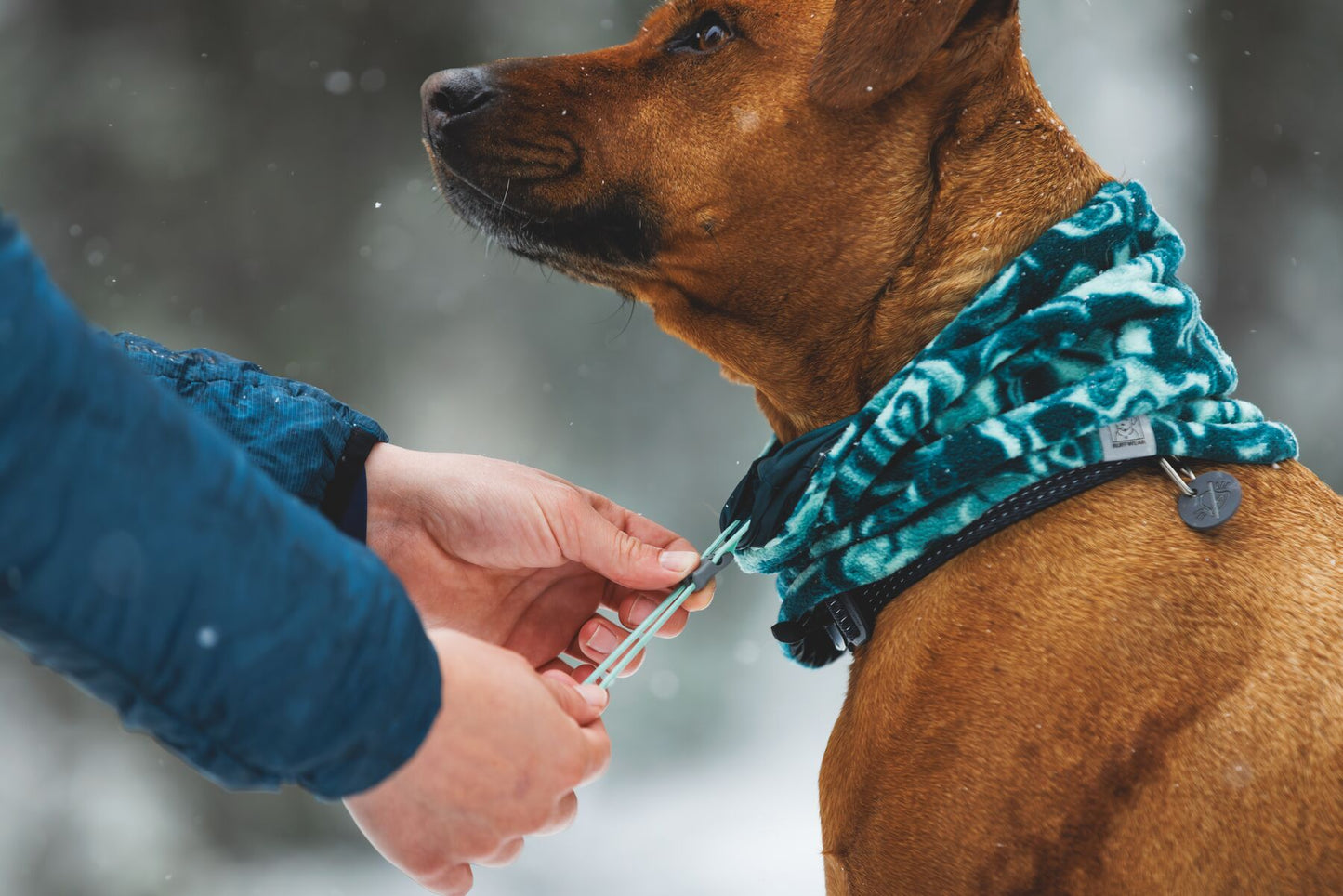 Ruffwear Mt. Hoodie™ Warming Neck Gaiter