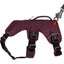 Webmaster Dog Harnass - Nena's Pets 