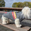 51 Degrees North Reflective coat - Nena's Pets 